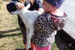IMG-20220406-WA0016