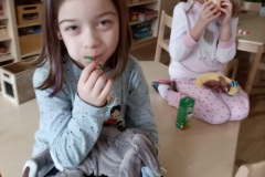IMG-20230220-WA0001